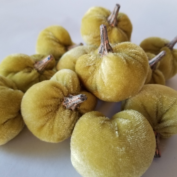 Mini Pumpkins - Picture 2 of 3